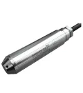 Фото 1 - Level transmitter S 0-4m c10m P E BC DWA