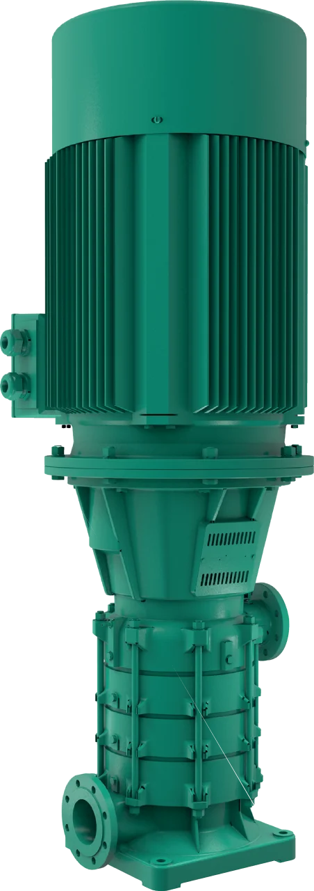 Zeox FIRST V 6005/A-75-2